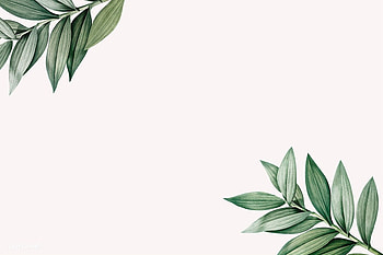 Macbook Air Background Aesthetic Plants - Novocom.top, Cute Plant HD wallpaper