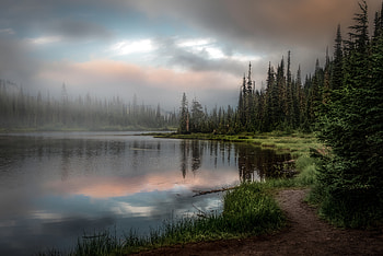 Nature, Grass, Lake, Forest, Fir, Spruce HD wallpaper