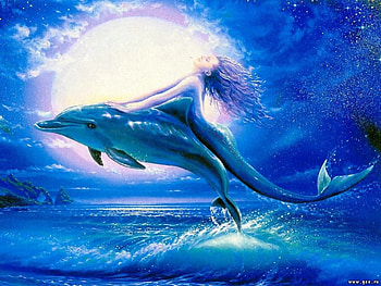 Mermaid Fun, night, mermaid, tails, dolphin, moon, fantasy, ride, fly, water, ocean HD wallpaper