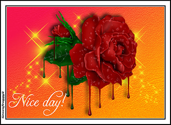 NICE DAY, DAY, NICE, COMMENT, CARD HD wallpaper