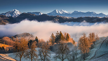 Misty Mountain Peaks And Frosty Trees, mist, mountains, trees, tree, clouds, snow, nature HD wallpaper