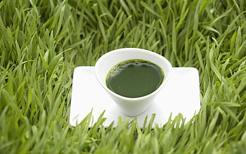Green, white, tea, health, beautiful, grass, cup, spring, nice, summer, healthy, yellow, texture, nature HD wallpaper