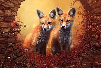 Foxes, animal, bird, vulpe, fox, orange, fantasy, couple, autumn, luminos HD wallpaper