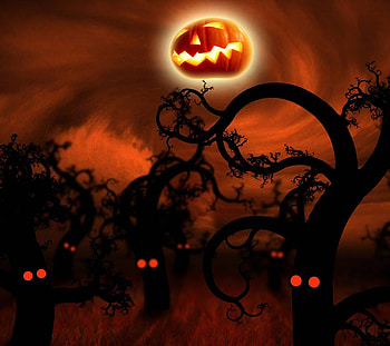 Scary Pumpkin Night, night, halloween, scary, trees, eyes, pumpkin HD wallpaper