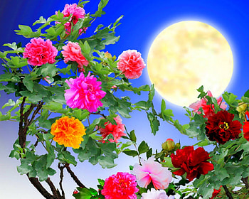 Beautiful flowers and moon, rose, flowers, moon, artistic HD wallpaper