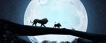 Hakuna Matata , the-lion-king, lion, 2019-movies, movies, disney, simba, deviantart HD wallpaper