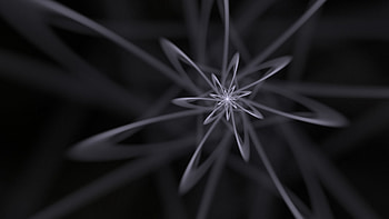 Abstract, Lines, Fractal, Bw, Chb, Intricate, Confused HD wallpaper