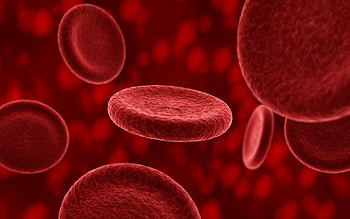 Blood, Macro, Structure, Composition, Plasma, Erythrocytes HD wallpaper