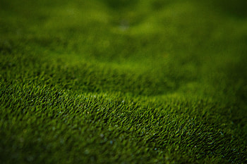 Grass, Macro, Lawn HD wallpaper