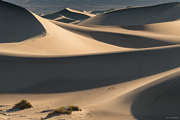Nature, Sand, Desert, Hills, Dunes, Links HD wallpaper