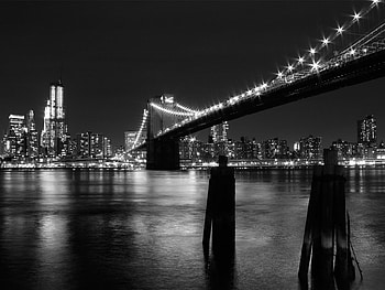 Landscape, Cities, Rivers, Bridges, Night HD wallpaper