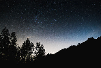 Trees, Sky, Night, Dark, Shine, Starry Sky, Brilliance HD wallpaper