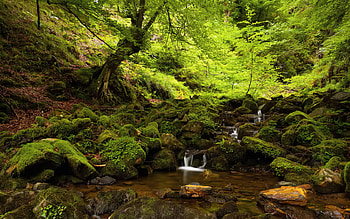 Landscape, Rivers, Waterfalls HD wallpaper