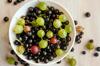 Delicious currants, Burst of flavor, Perfect for recipes, Sweet and tart HD wallpaper