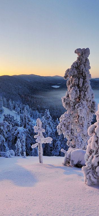 Frosty Finnish hill, Snowy trees, Winter wonderland, Nature's tranquility HD phone wallpaper