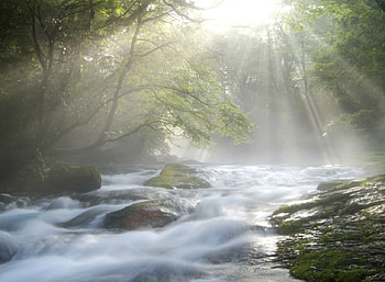 The Beauty Of Nature, river, creek, nature, calm, beauty HD wallpaper