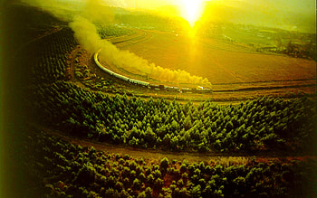 TRAIN JOURNEY, sunshine, vineyard, Journey, Cape Town, , South Africa, train HD wallpaper