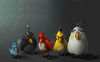 Angry Birds, chicken, game, fury HD wallpaper