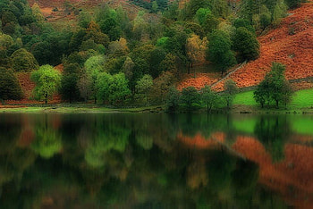 Reflecting Autumn, trees, autumn, water, lake HD wallpaper