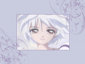 princess tutu, princesstutu, anime, manga HD wallpaper