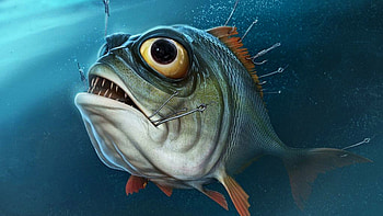 Fishing . HD wallpaper