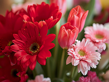Blooming flowers 2, flower, Bloom, bouquet, spring HD wallpaper