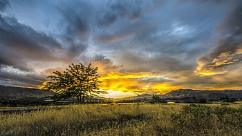 spectacular sunset, clouds, fields, mountains, sunset, tree HD wallpaper