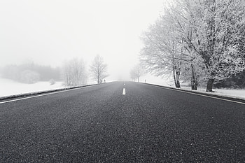 Winter, Nature, Trees, Snow, Road, Fog, Bw, Chb, Direction HD wallpaper
