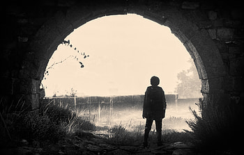2024 A Plague Tale Requiem, a-plague-tale-requiem, 2024-games, games, pc-games, xbox-games, ps5-games, video-games HD wallpaper