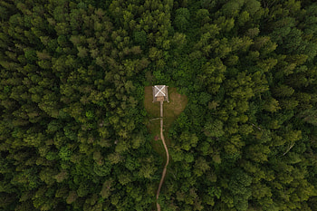 Nature, Building, View From Above, Forest, Trail, Roof HD wallpaper