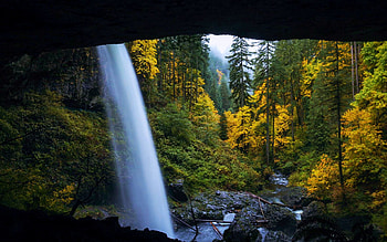 Behind North Silver Falls, Oregon, river, leaves, fall, bridge, trees, colors, usa HD wallpaper