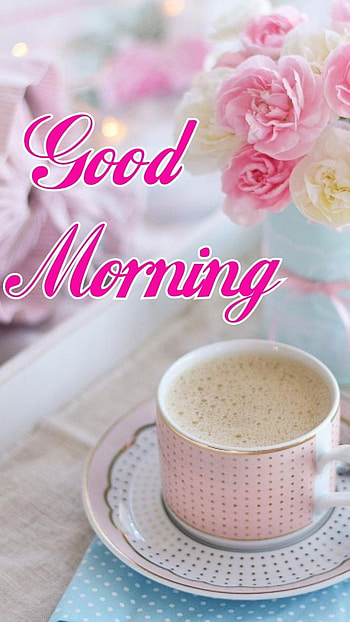 Good Morning, Pink Roses HD phone wallpaper