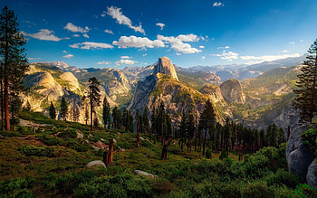 Yosemite National Park, mountain slopes, forest, mountains, cliffs, California, America, USA, beautiful nature, R, summer HD wallpaper