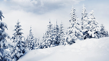 High on the Mountain, winter, blue, snow, trees, ski, mountains, forest HD wallpaper
