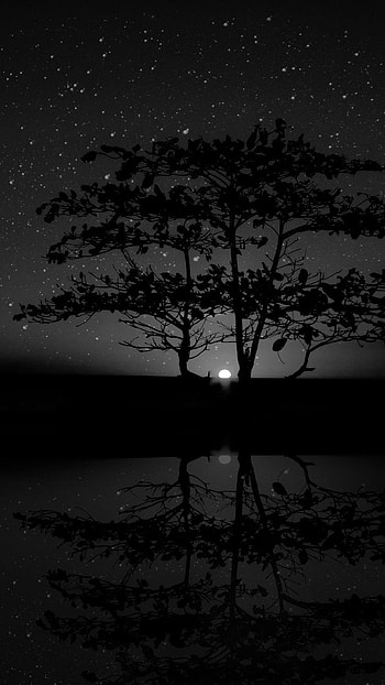 Black Aesthetic, Nature HD phone wallpaper