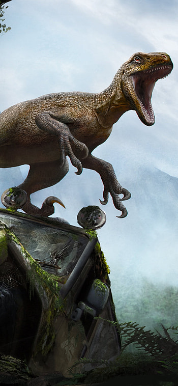 Animal velociraptor, Prehistoric creature, Carnivorous dinosaur, Mesozoic era HD phone wallpaper
