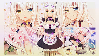 Anime - Nekopara Coconut (Nekopara) HD wallpaper