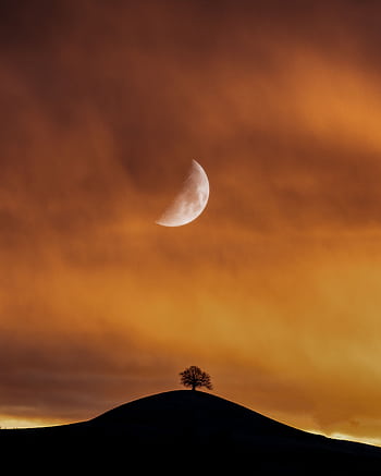 Stunning twilight scene featuring a half moon over a silhouetted tree on a hill, creating a dramatic sky in Hirzel. HD phone wallpaper
