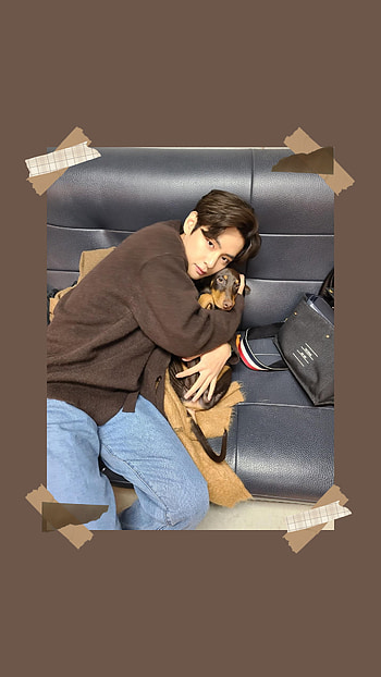 Taehyung, army, bts, puppy, brown aesthetic, kim taehyung, bam HD phone wallpaper