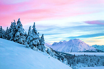 Alaskan Sunrise, landscape, winter, firs, snow HD wallpaper