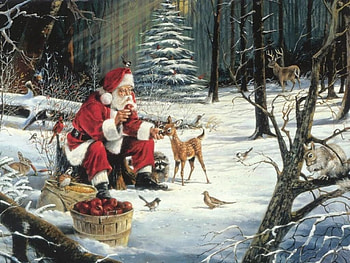 Gifts for all❤️❤️❤️, birds, cute, gifts, little, Santa, Christmas, animals, snow, trees, forest HD wallpaper