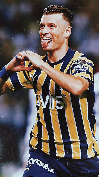 Fenerbahçe, fener, sari, soccer, alioski, lacivert, fenerbahce, football, forma, kanarya, futbol HD phone wallpaper