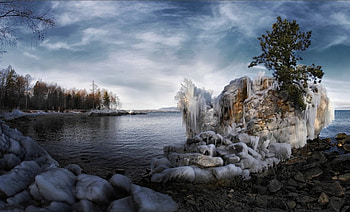 Winter, winter, sea, trees, nature HD wallpaper