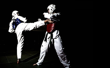 Taekwondo, Combat Sports HD wallpaper