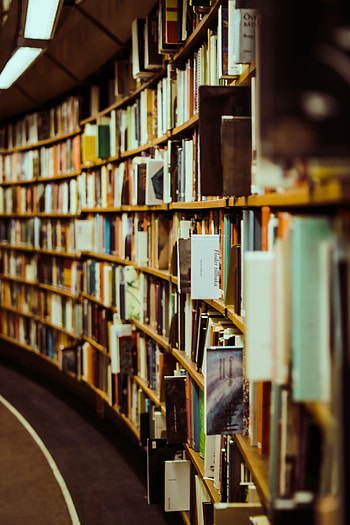 Books, Miscellanea, Miscellaneous, Reading, Library, Racks HD phone wallpaper