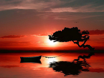 Ruby evening, boat, red, sunset, evening, tree HD wallpaper