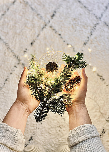 Holidays, Cones, New Year, Christmas, Holiday, Branch, Hands, Garland HD phone wallpaper
