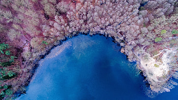 Nature Background Color Lake Forest Colorful, nature, lake, forest, colorful HD wallpaper