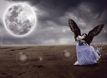 On the II Wings of the night, models, people, fantasy, actresses HD wallpaper