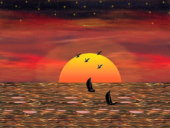 Sunset, birds, sky, nature, water, sun HD wallpaper